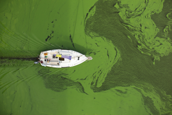 2014_08_23 | 10:07 | loď na přehradě Lipno